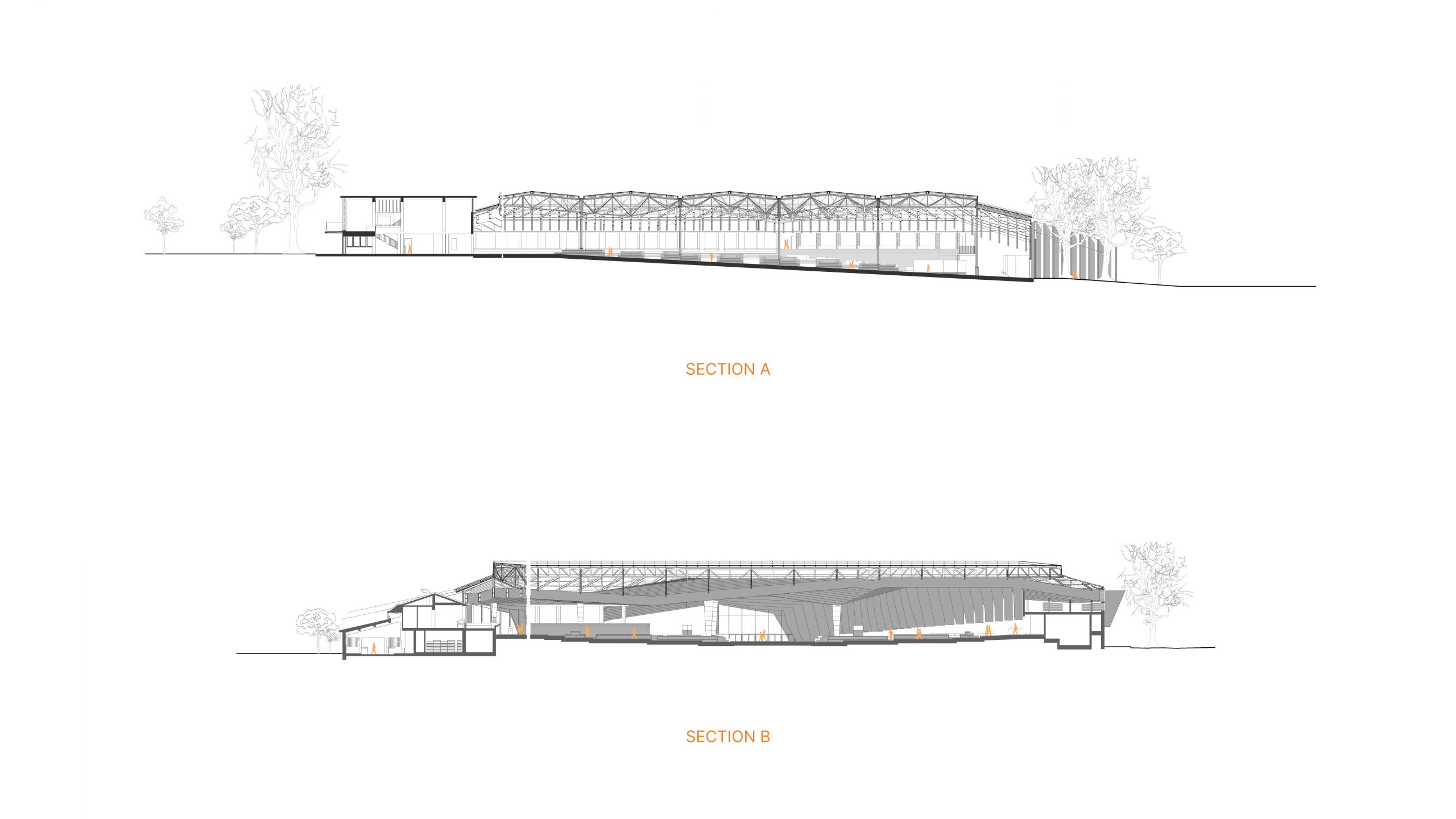 53 Sections - Braga City Market